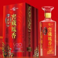 �Ѳط���V20�����