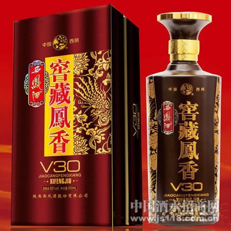 �Ѳط���V30�����