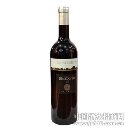 �������ڿ��� ˫����2010