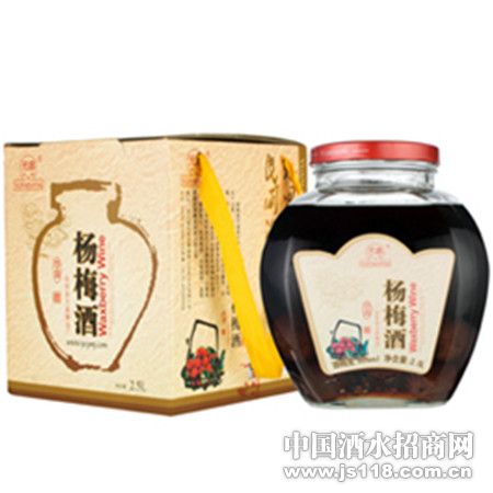 ��÷¶��2.5L