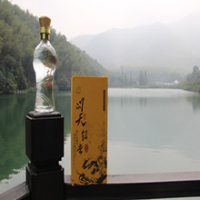 45度问天银杏酒2
