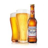 ��������ƿ330ml*24