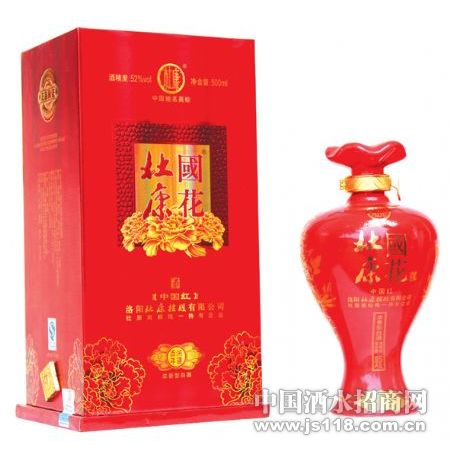 DK019�ſ��������й��죩