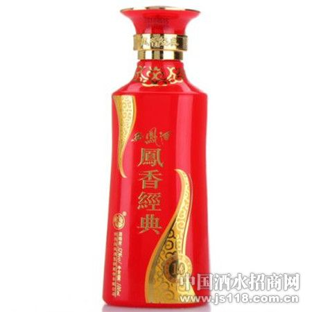 52�� ʮ����㾭��100ml ���С�ư棨�����棩