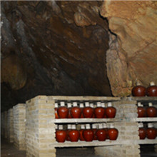 小缸