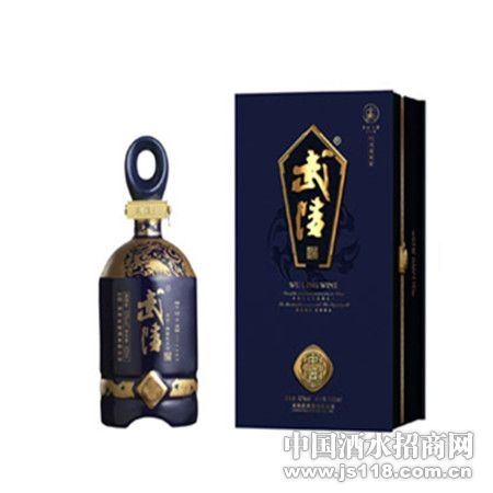 纸盒装武陵中酱