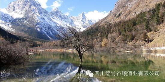 �Ĵ������˳��ҵ���޹�˾��կ֮��