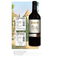 �ٺ�2007���Ѿ�