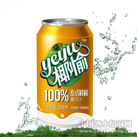 Ҭ��̩ʽ��եҬ��֭310ML