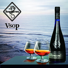 ��ʫ��VSOP��������