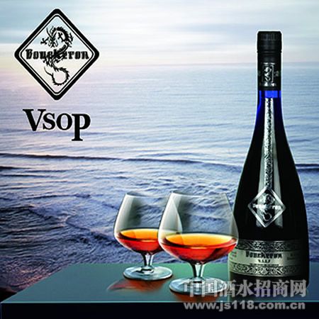 ��ʫ��VSOP��������