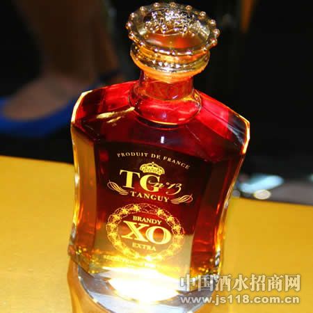 ���������ظ���TG13