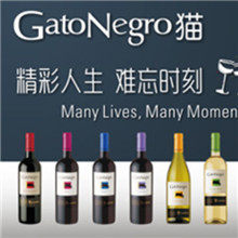 GatoNegroè