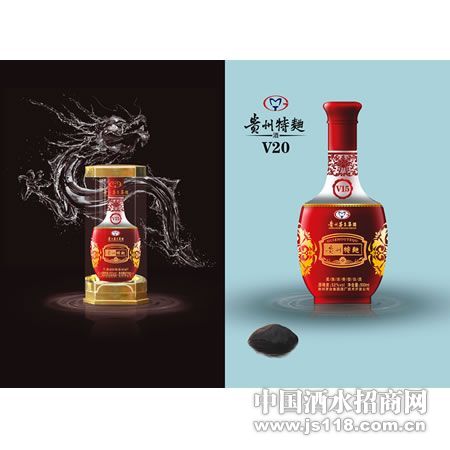 ��ƿV20����������