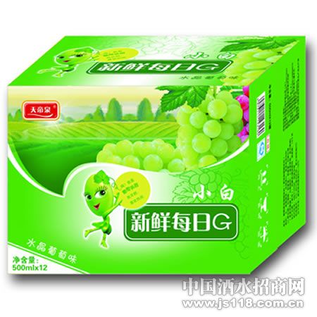 ���Ȫˮ������ζ��ơ500mlx12