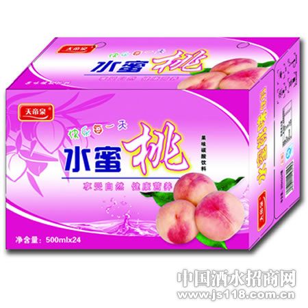 ���Ȫˮ��������500mlx24