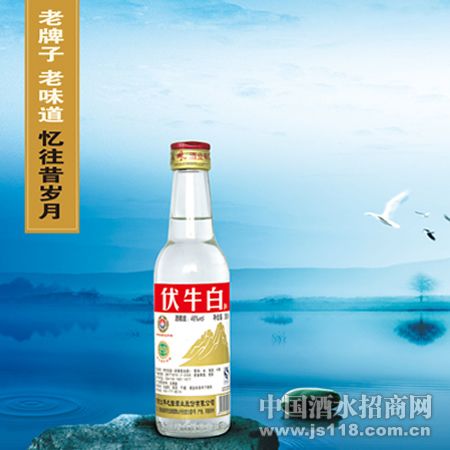 ��ţ�׹�ƿ260ml