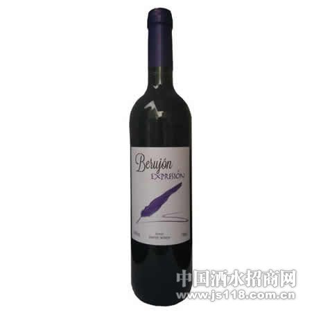 ������2009����ɺ�