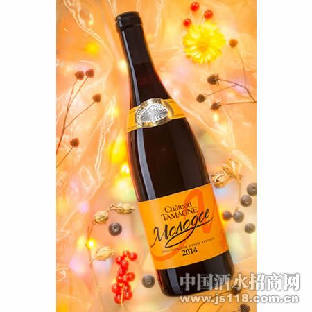 ���2014��ݺ��