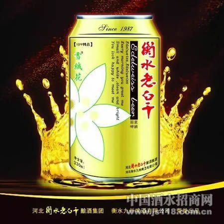 ��ˮ�ϰ׸�10��ѩ�޻�