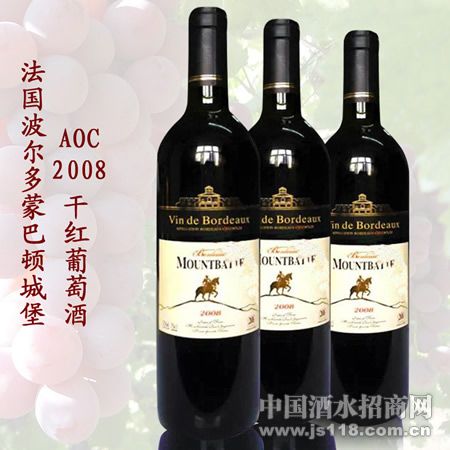 �����ɰͶٳǱ�2008