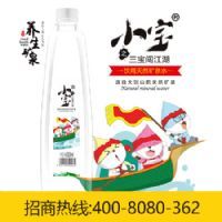 ���մ��ɽ��ȻС����Ȫˮ����ˮ400ml/600ml*20ƿ����װ