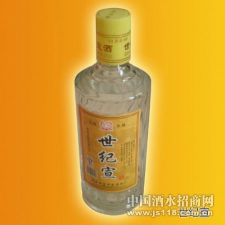 世纪宣