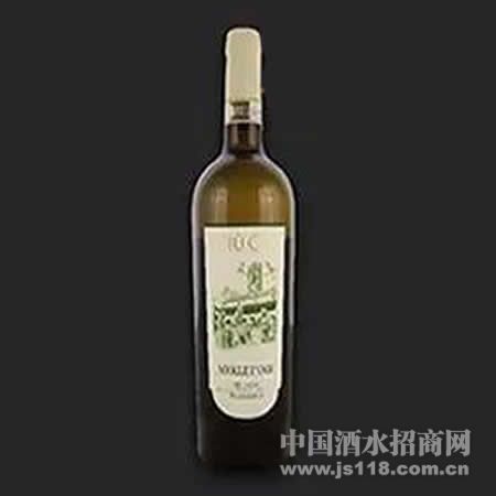 ѩ��ڱ�ŵ2014