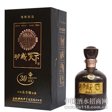 功成天下新30年