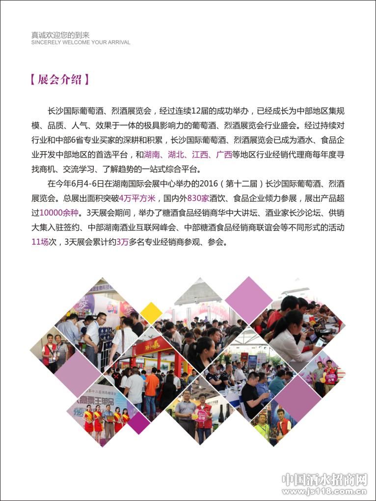 第十三届中国(长沙)葡萄酒、烈酒展