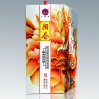 满园春色-阳春
