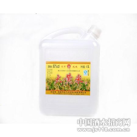 60��4.5L����׾�