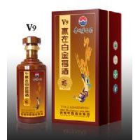 V9Ӯ�ڰ׽𸣾�