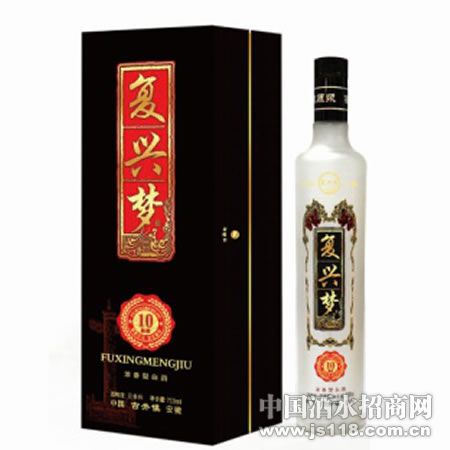 复兴梦(10陈酿)