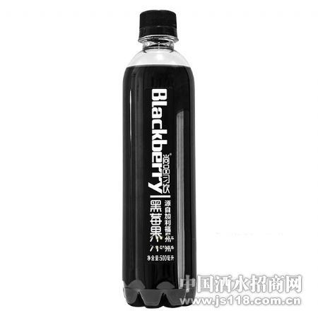 500ml��Ʒϰ����ݮ��֭
