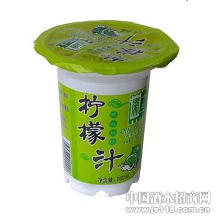 ��ʮ��260ml����֭