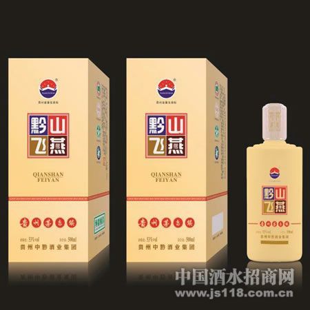 黔山飞燕15年