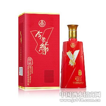 今聚缘系列