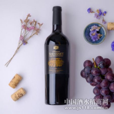 ѩʫ��2009��ذ��ϼ��ɺ�