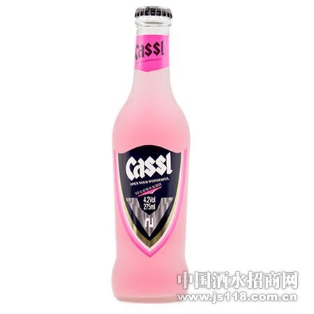 CASSL��{¡v2��β�ơ�����