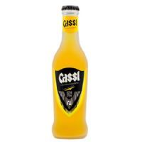 CASSL��{¡v2��β�ơ����