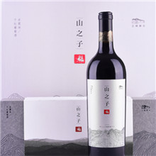 山之子