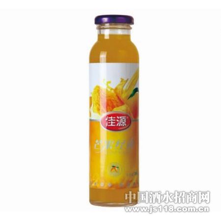 ����â��֭300ml