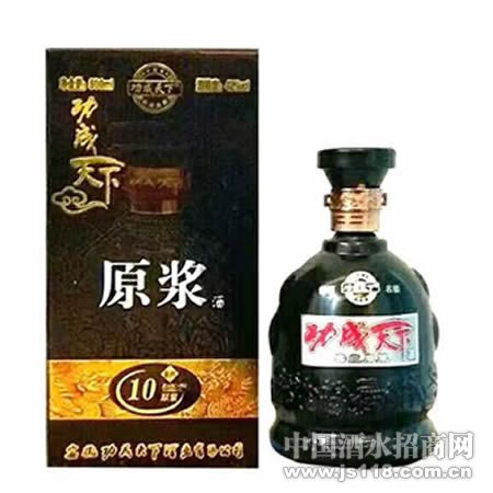 功成天下酒10年