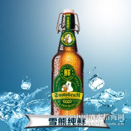 ѩ�ܴ���ơ