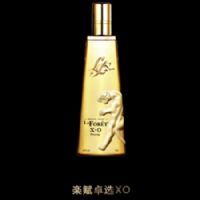 樂赋卓选XO