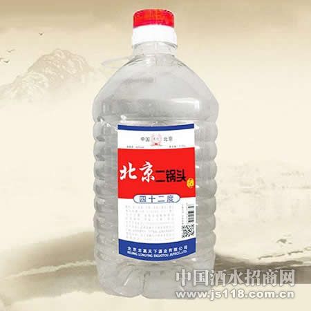��ӭ42��1750Ml��������ͷ��
