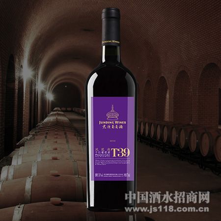 ������˺�T39�߼��ɺ����Ѿ�