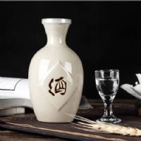 寻龙山白瓶 52度 100ml/瓶