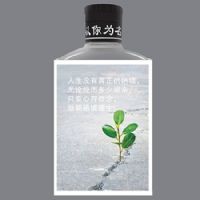 ����Ϊ��-�澳�гɳ���